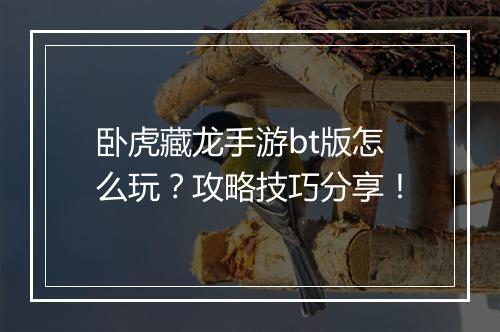 卧虎藏龙手游bt版怎么玩？攻略技巧分享！