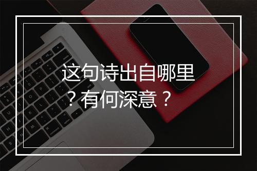 这句诗出自哪里?有何深意?