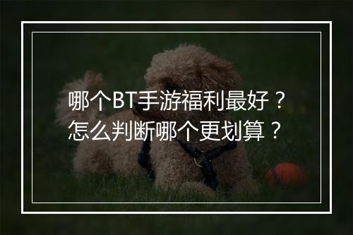哪个BT手游福利最好？怎么判断哪个更划算？