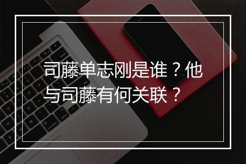 司藤单志刚是谁？他与司藤有何关联？