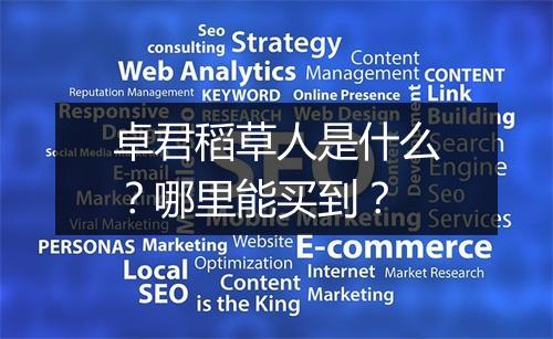 卓君稻草人是什么？哪里能买到？