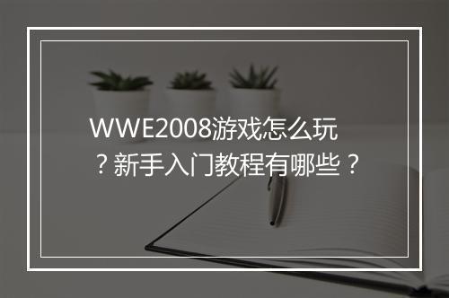 WWE2008游戏怎么玩？新手入门教程有哪些？