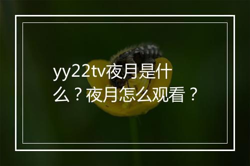 yy22tv夜月是什么?夜月怎么观看?