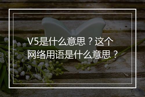 V5是什么意思？这个网络用语是什么意思？