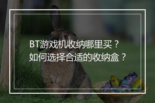 BT游戏机收纳哪里买？如何选择合适的收纳盒？
