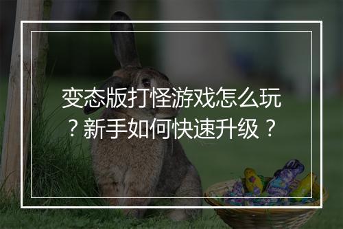 变态版打怪游戏怎么玩？新手如何快速升级？