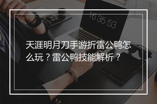 天涯明月刀手游折雷公鸭怎么玩？雷公鸭技能解析？