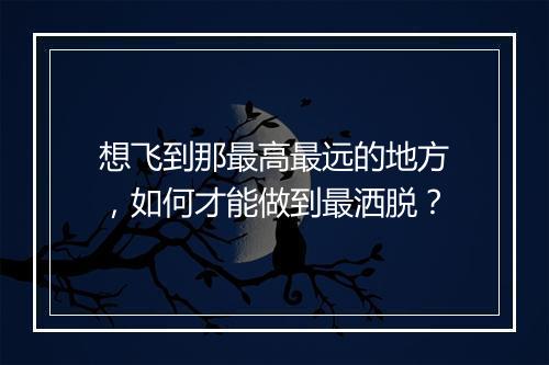 想飞到那最高最远的地方,如何才能做到最洒脱?