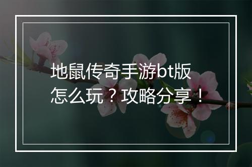 地鼠传奇手游bt版怎么玩?攻略分享!
