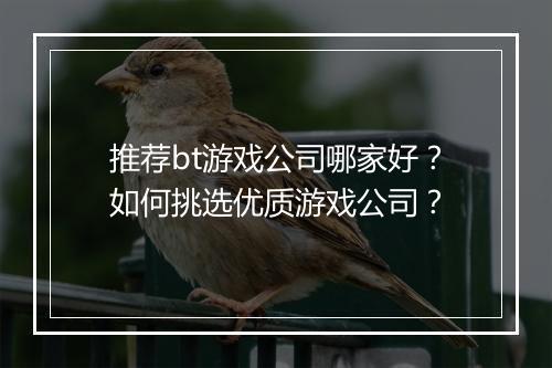 推荐bt游戏公司哪家好？如何挑选优质游戏公司？