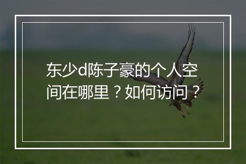 东少d陈子豪的个人空间在哪里？如何访问？