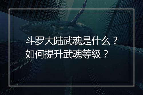 斗罗大陆武魂是什么？如何提升武魂等级？