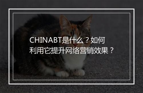 CHINABT是什么？如何利用它提升网络营销效果？