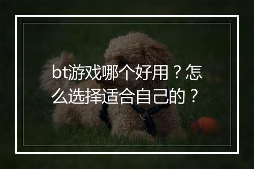 bt游戏哪个好用?怎么选择适合自己的?