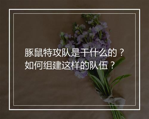 豚鼠特攻队是干什么的？如何组建这样的队伍？