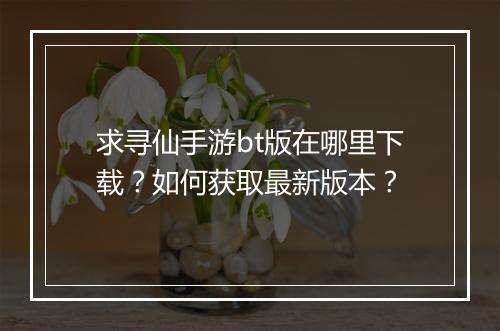 求寻仙手游bt版在哪里下载？如何获取最新版本？