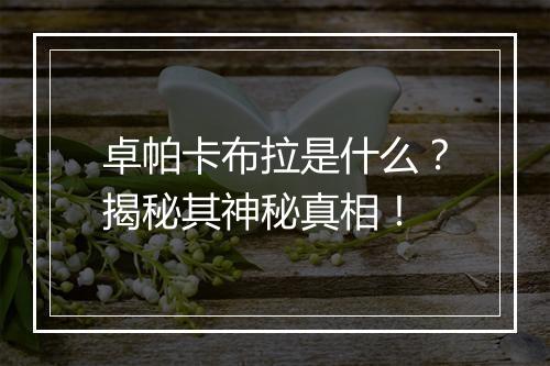 卓帕卡布拉是什么？揭秘其神秘真相！