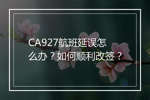 CA927航班延误怎么办？如何顺利改签？