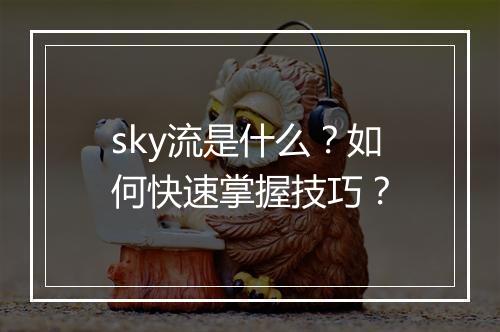 sky流是什么？如何快速掌握技巧？