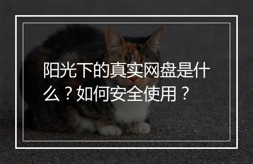 阳光下的真实网盘是什么？如何安全使用？