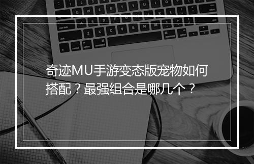 奇迹MU手游变态版宠物如何搭配？最强组合是哪几个？