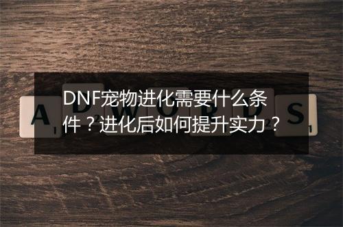DNF宠物进化需要什么条件？进化后如何提升实力？