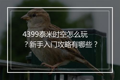 4399泰米时空怎么玩?新手入门攻略有哪些?