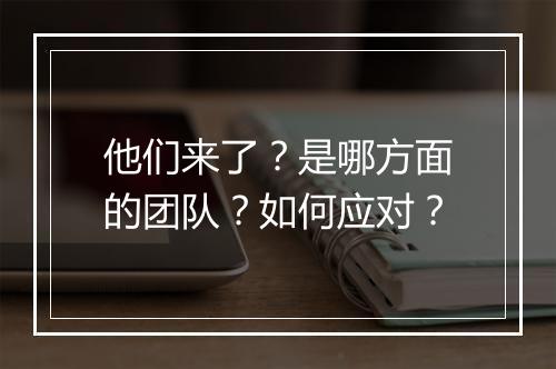 他们来了？是哪方面的团队？如何应对？