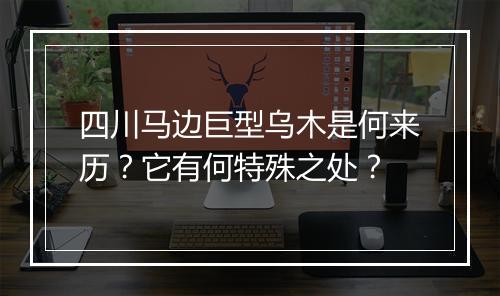 四川马边巨型乌木是何来历？它有何特殊之处？