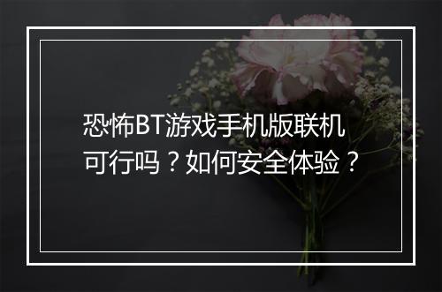 恐怖BT游戏手机版联机可行吗？如何安全体验？