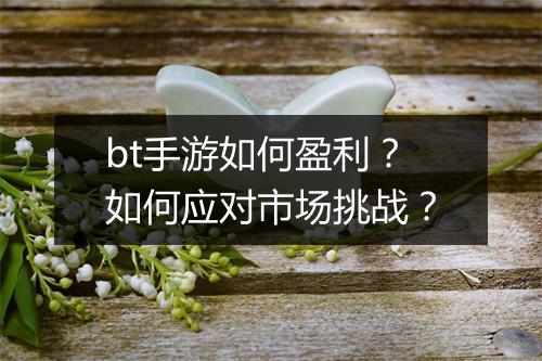 bt手游如何盈利？如何应对市场挑战？