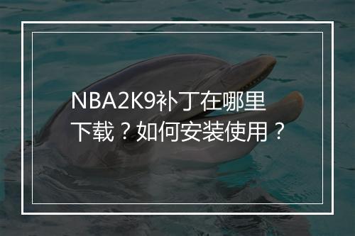 NBA2K9补丁在哪里下载?如何安装使用?