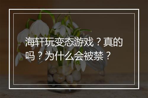 海轩玩变态游戏？真的吗？为什么会被禁？