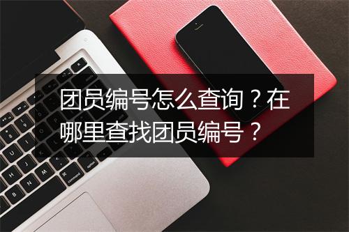 团员编号怎么查询?在哪里查找团员编号?
