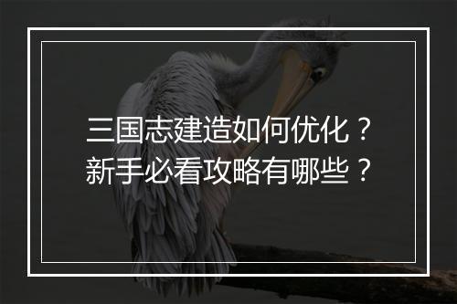 三国志建造如何优化？新手必看攻略有哪些？
