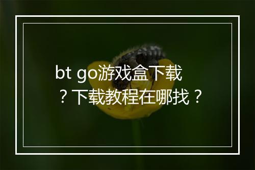 bt go游戏盒下载？下载教程在哪找？