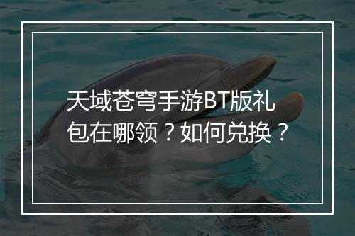 天域苍穹手游BT版礼包在哪领？如何兑换？
