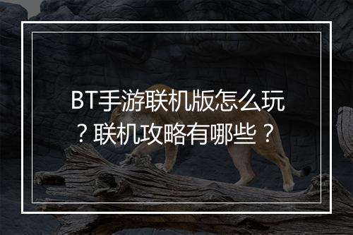 BT手游联机版怎么玩？联机攻略有哪些？