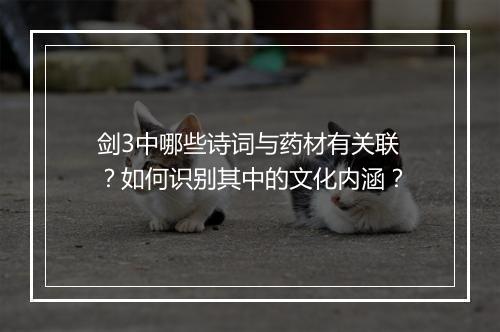 剑3中哪些诗词与药材有关联?如何识别其中的文化内涵?