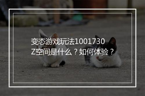变态游戏玩法1001730Z空间是什么?如何体验?