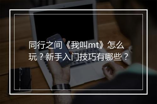 同行之间《我叫mt》怎么玩？新手入门技巧有哪些？