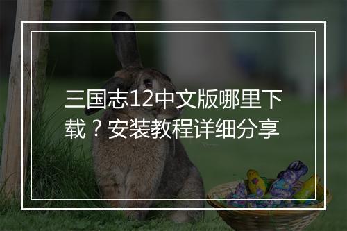 三国志12中文版哪里下载？安装教程详细分享