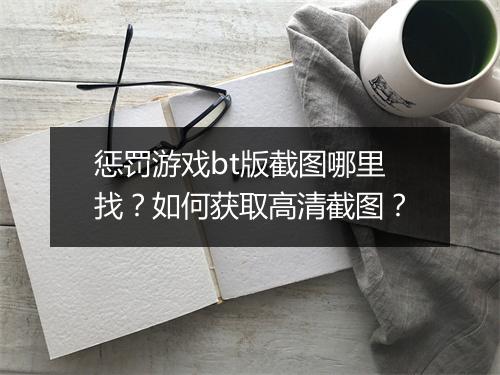 惩罚游戏bt版截图哪里找？如何获取高清截图？