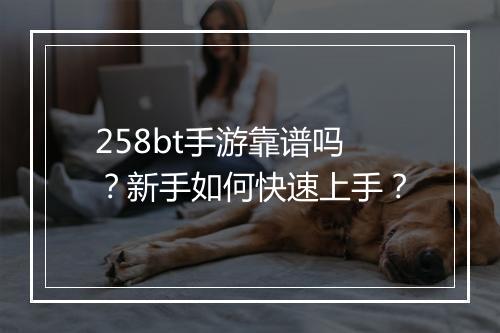 258bt手游靠谱吗？新手如何快速上手？