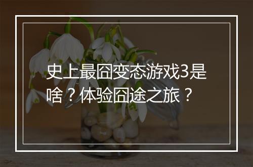 史上最囧变态游戏3是啥？体验囧途之旅？