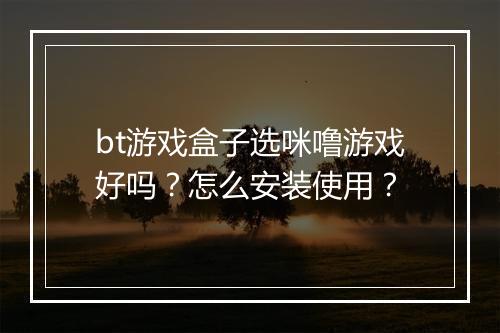 bt游戏盒子选咪噜游戏好吗？怎么安装使用？