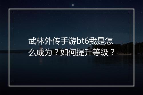 武林外传手游bt6我是怎么成为？如何提升等级？