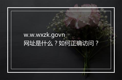 w.w.wxzk.govn网址是什么？如何正确访问？