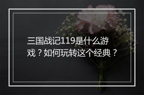三国战记119是什么游戏?如何玩转这个经典?