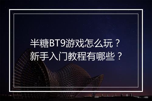 半糖BT9游戏怎么玩?新手入门教程有哪些?
